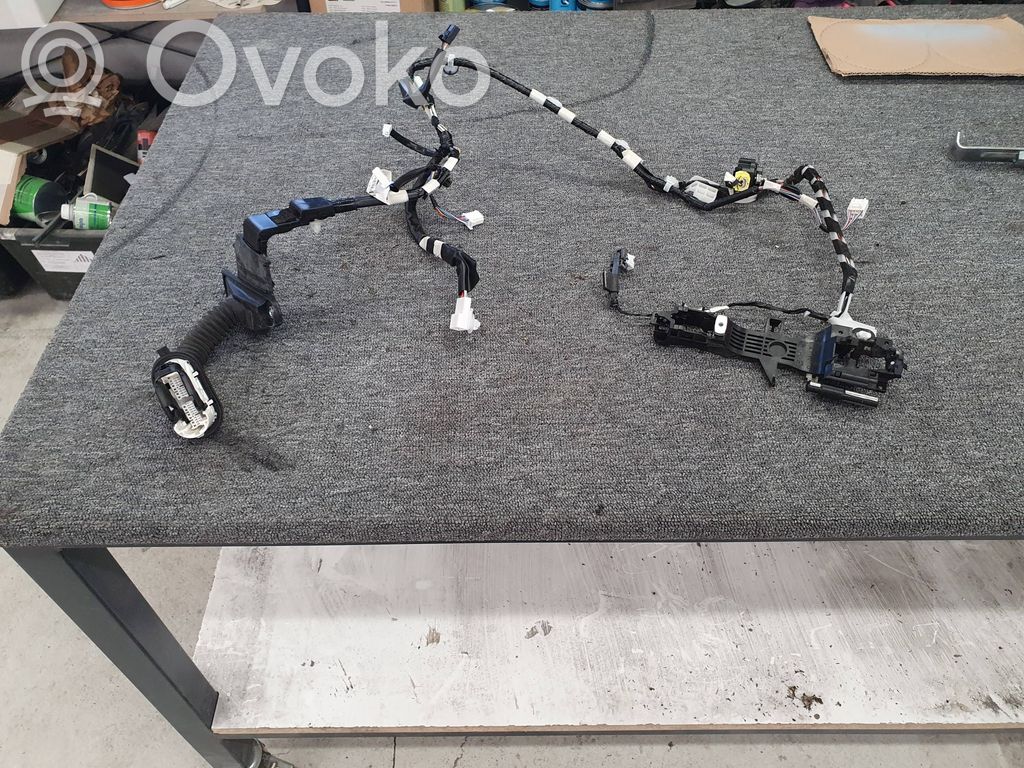 Toyota C-HR I Cablaj ușă față 