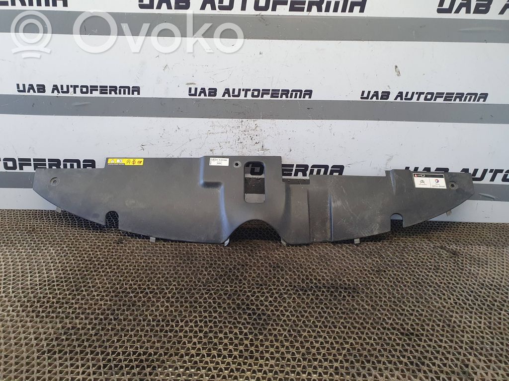 Citroen C4 II Picasso Moldura embellecedora del gancho del capó/tapa del motor 