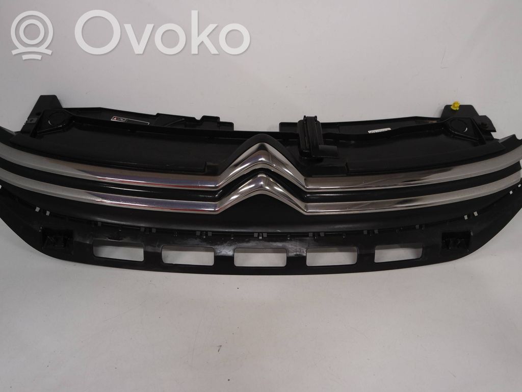 Front grill   320020119,9812063477