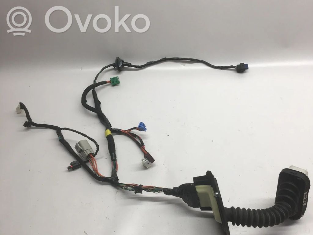 Dodge RAM 1500 DS Cableado de puerta delantera 
