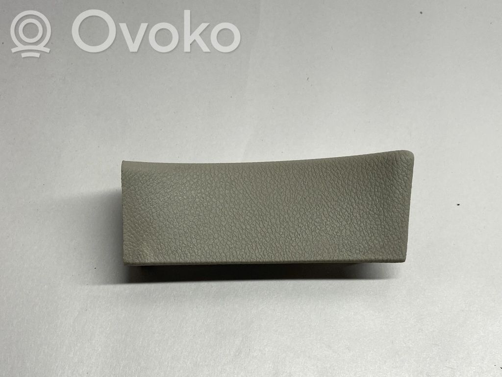 Chrysler Pacifica Rear door glass trim molding 