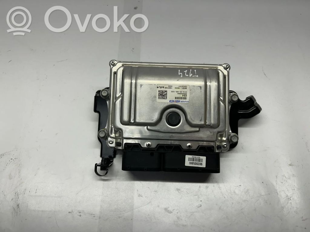 KIA EV6 Engine control unit/module 