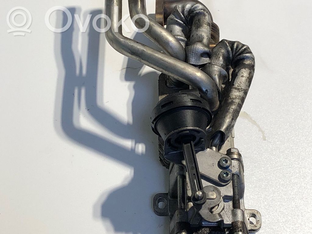 Volkswagen Phaeton Refrigerador de la válvula EGR 