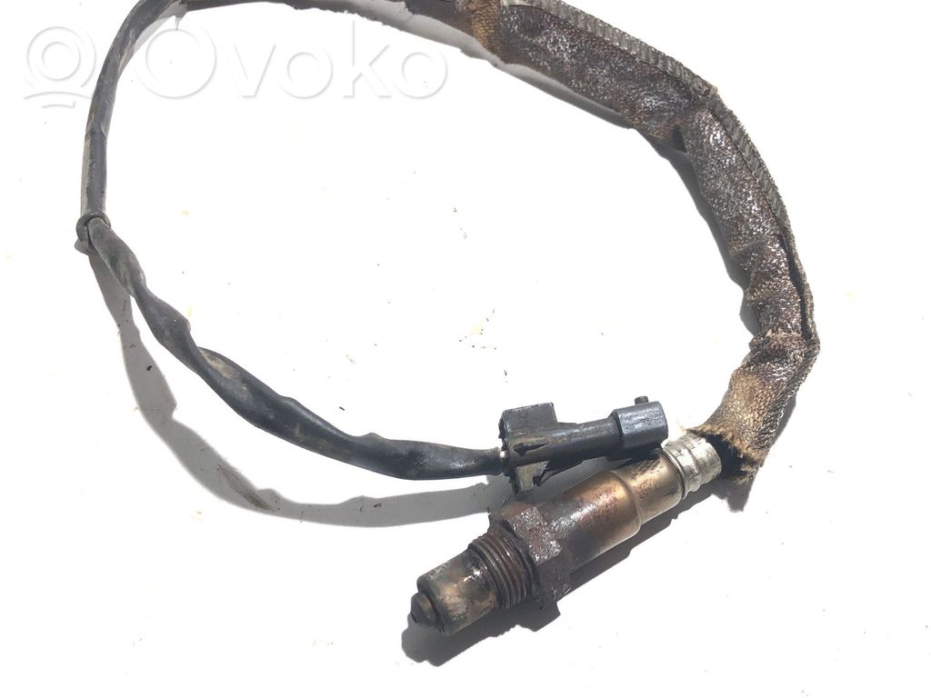 Sonde lambda   30637837,8006541