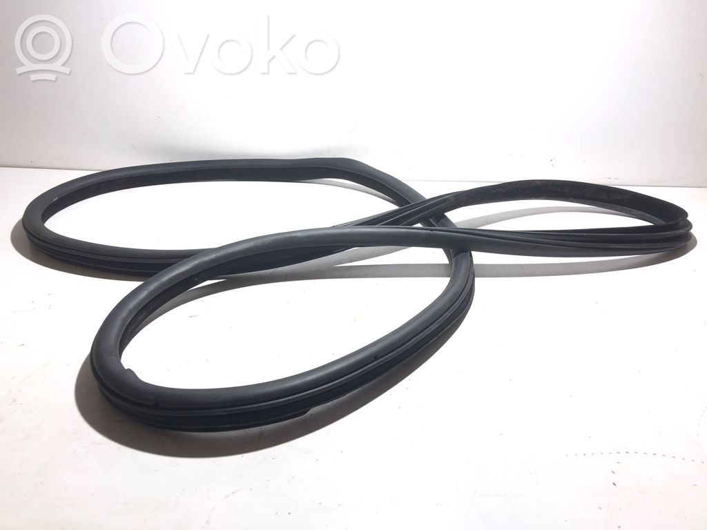 BMW 5 F10 F11 Front door rubber seal 