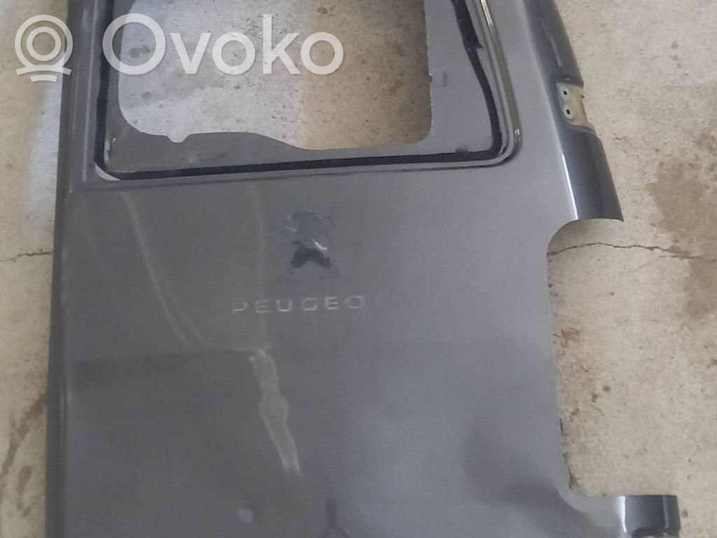 Peugeot Expert Дверь 