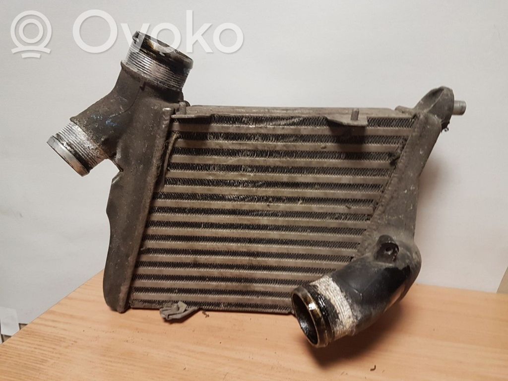Audi A8 S8 D3 4E Interkūlerio radiatorius 