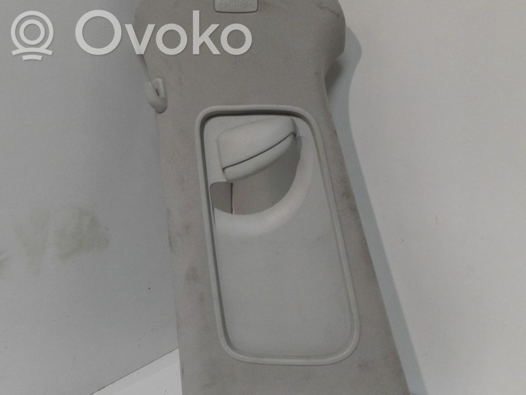 Volkswagen PASSAT B7 (B) statramsčio apdaila (viršutinė) 