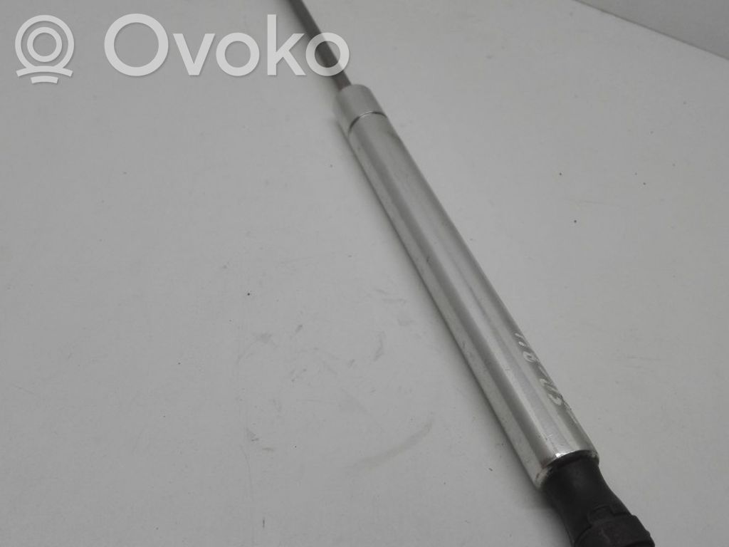 Audi A8 S8 D3 4E Tailgate/trunk strut/damper 