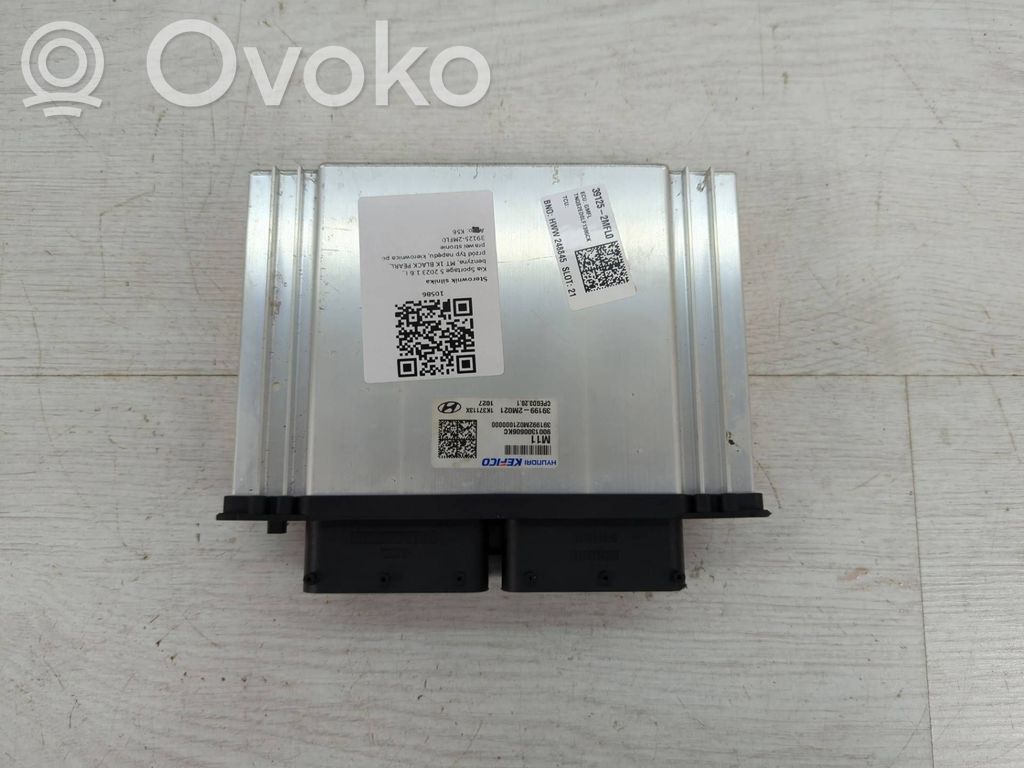 Engine control unit/module ECU   391252MFL0