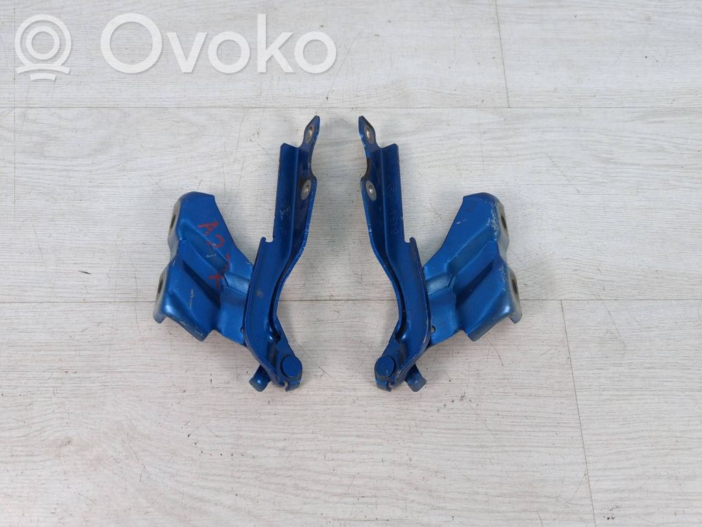 Engine bonnet/hood hinges