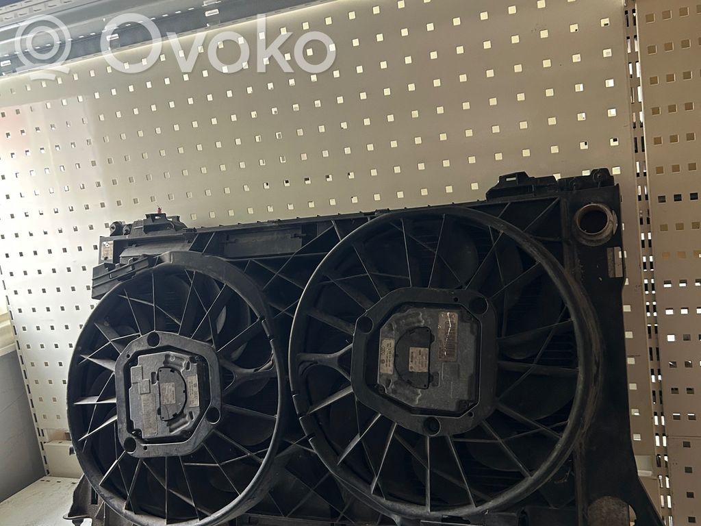 Audi A8 S8 D3 4E Elektrinis radiatorių ventiliatorius 