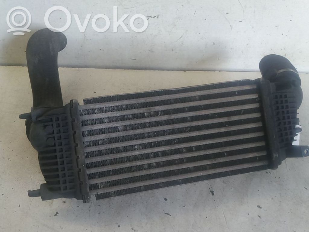 Intercooler radiator   0384N4