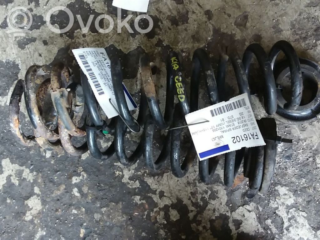 Rear coil spring