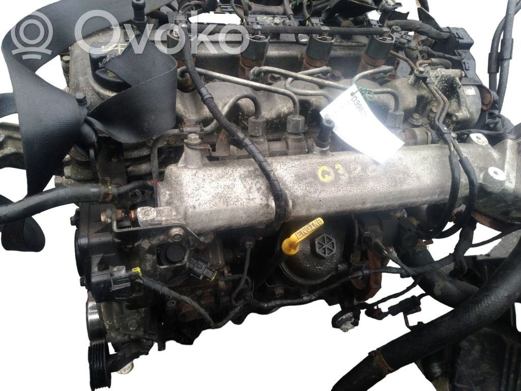 Variklis   Z46412AZ00