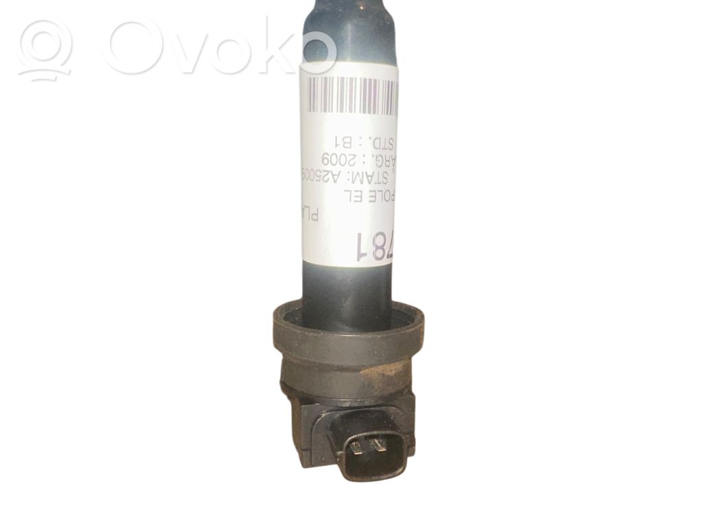 Zündspule Zündmodul   273012B000