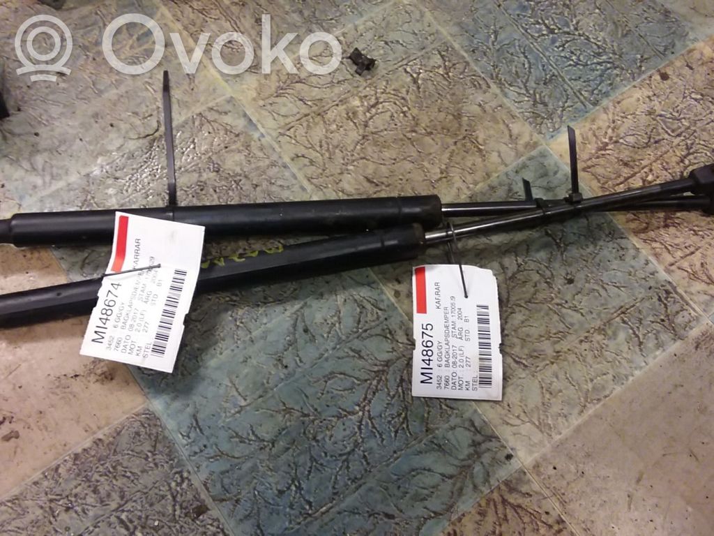 Tailgate/trunk strut/damper