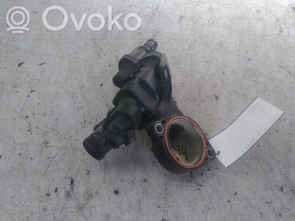 Termostato   110616064R