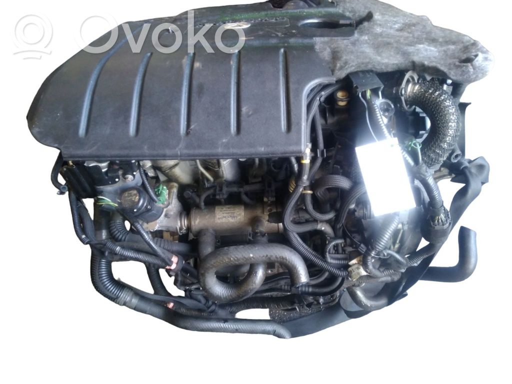 Engine   Y60302300
