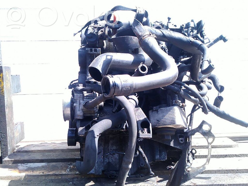 Motor