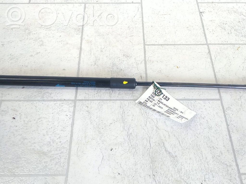 Tailgate/trunk strut/damper   B000877780