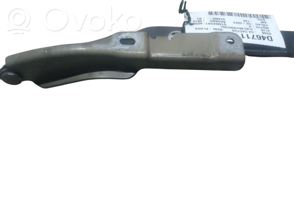 Balamale capotă   9801113980