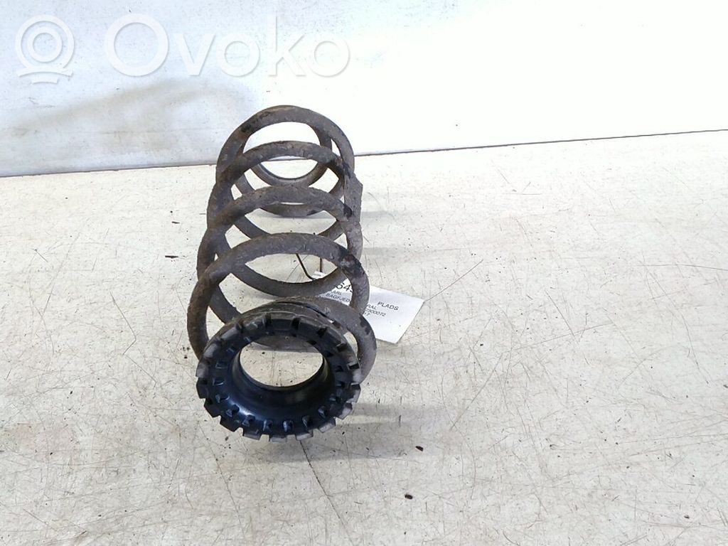 Feder hinten   42469578