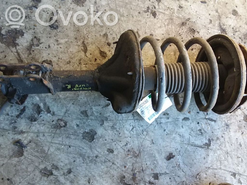 Stoßdämpfer vorne