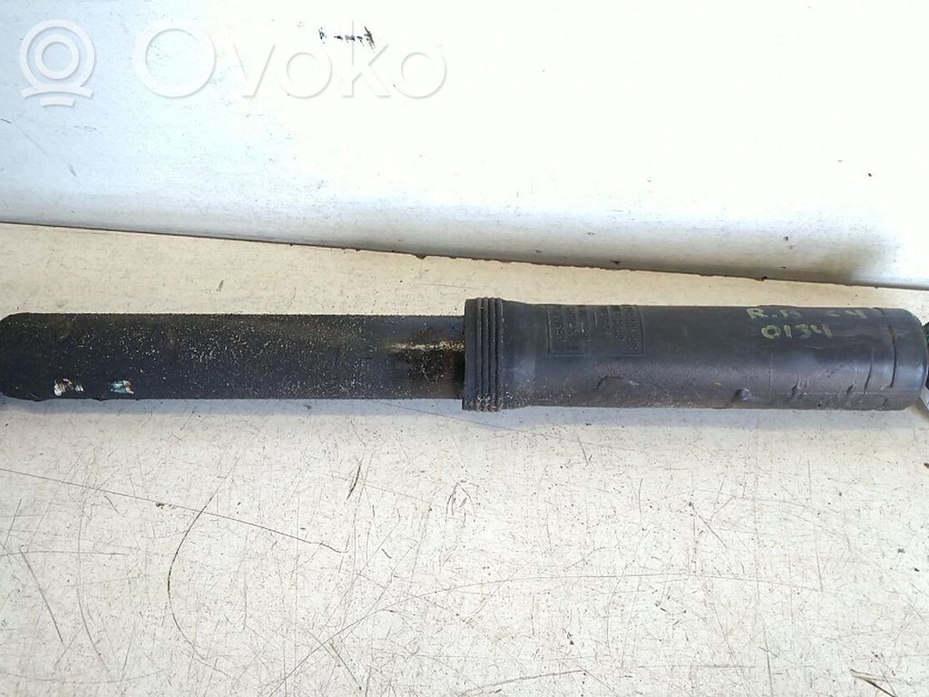 Stoßdämpfer hinten   9809739280