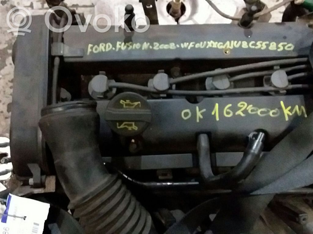 Motor