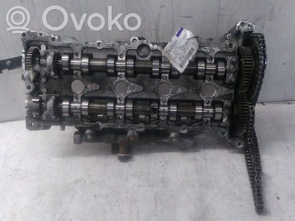 Galvutė   110417248R