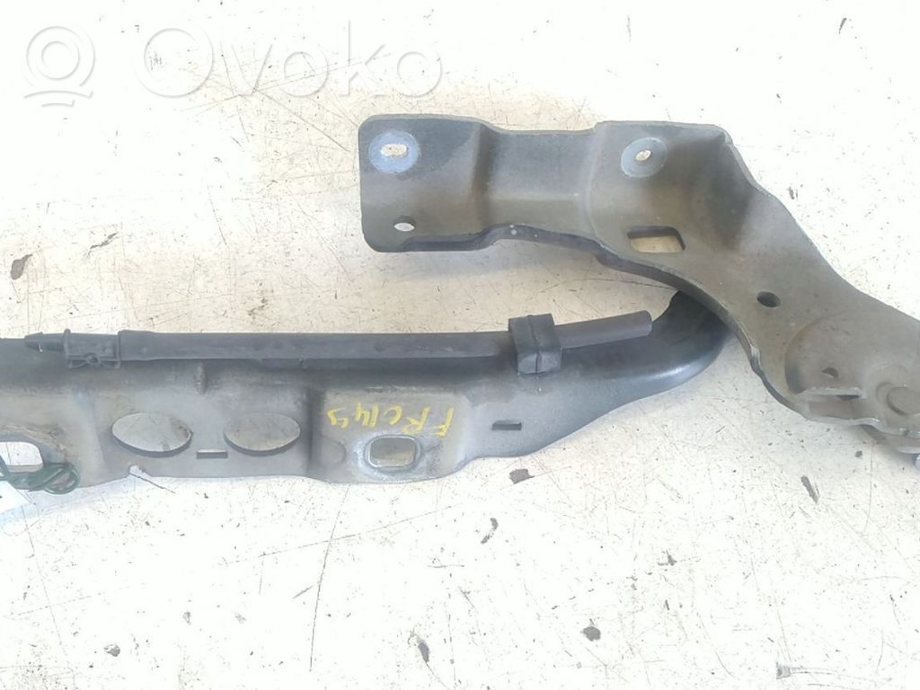 Cerniere del vano motore/cofano   791351