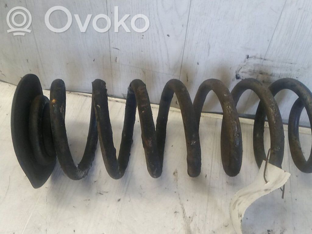 Muelle espiral trasero