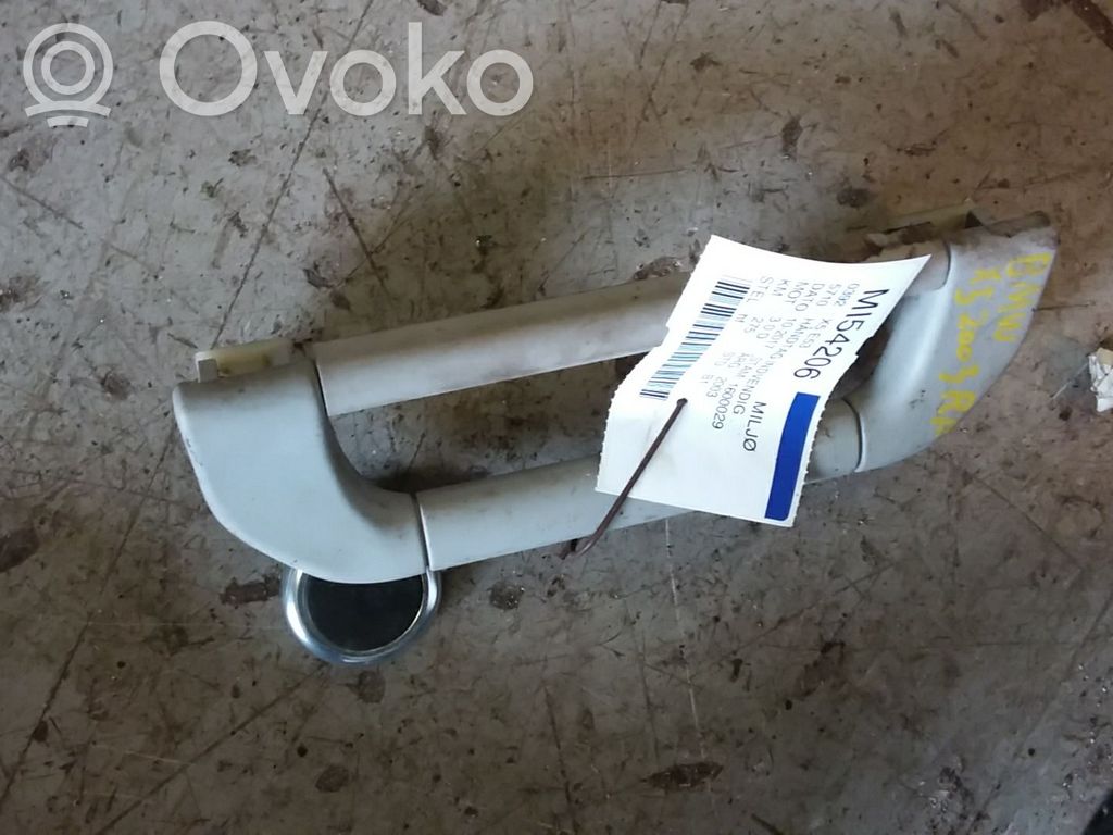 BMW X5 E53 Manecilla interna puerta delantera 