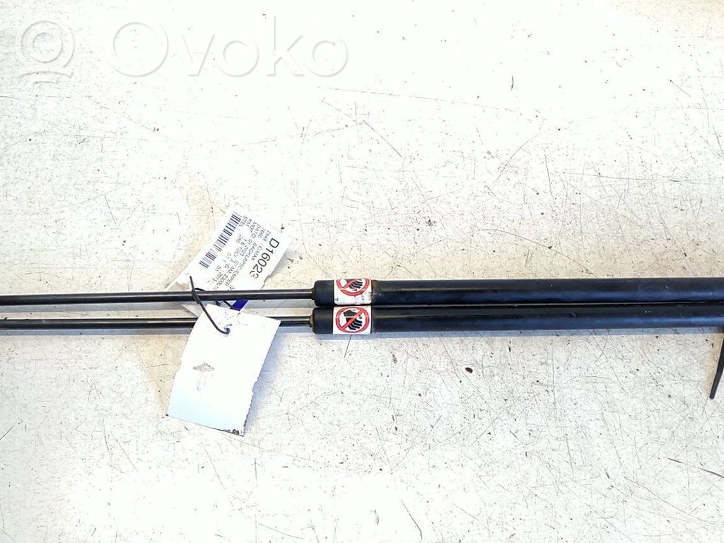 Tailgate/trunk strut/damper   1803164