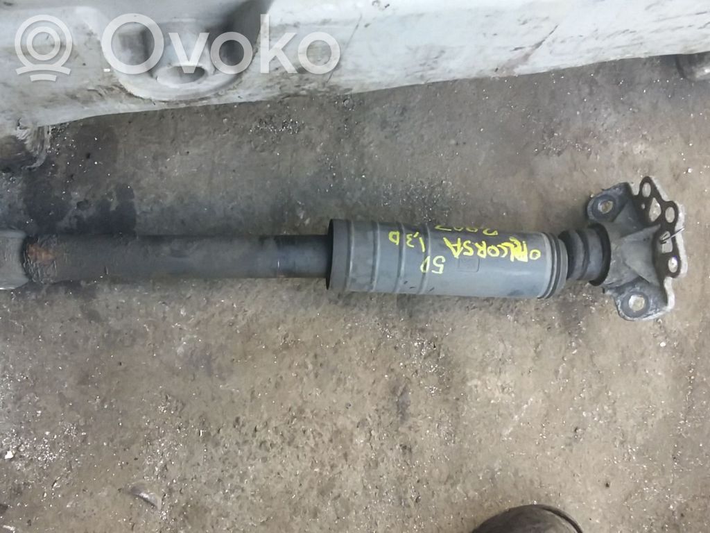Stoßdämpfer hinten