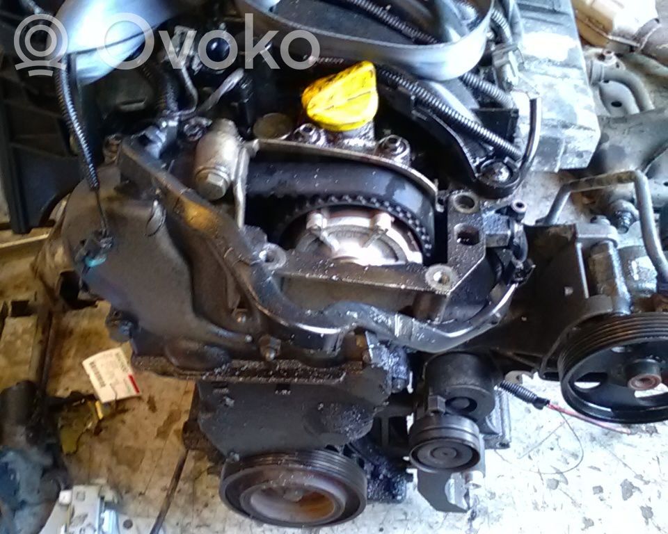 Motor