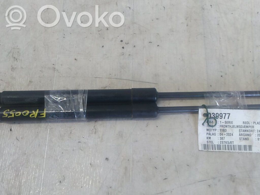 Vérin, capot-moteur   51237118370