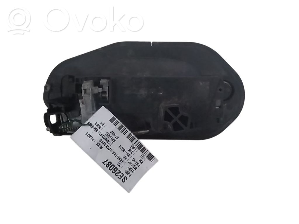 BMW X3 E83 Manecilla externa puerta delantera 
