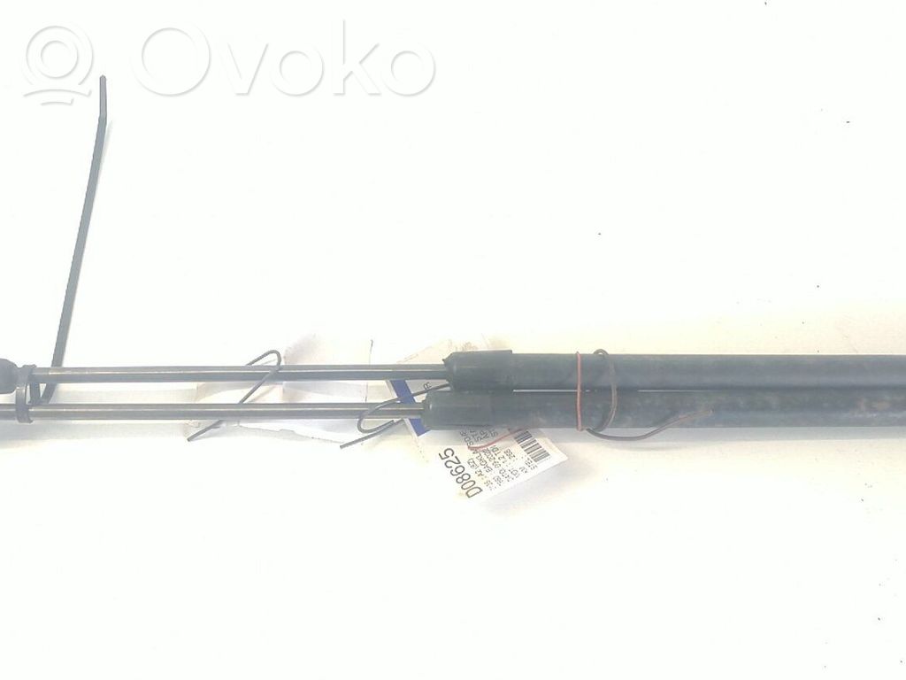 Tailgate/trunk strut/damper   8Z0827552C
