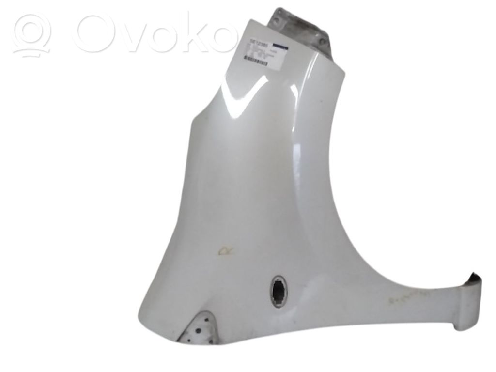 Guardabarro   57611M68K00000