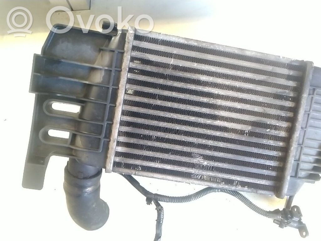 Radiatore intercooler   179000N030