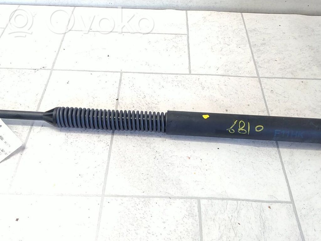 BMW 5 F10 F11 Ammortizzatore portellone posteriore/bagagliaio
