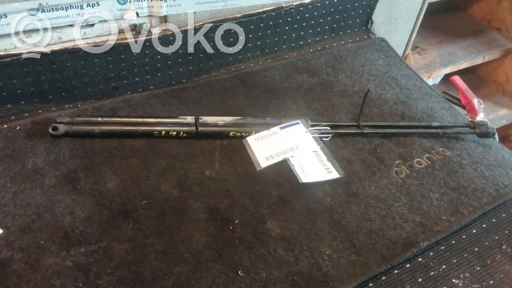Tailgate/trunk strut/damper   1803164