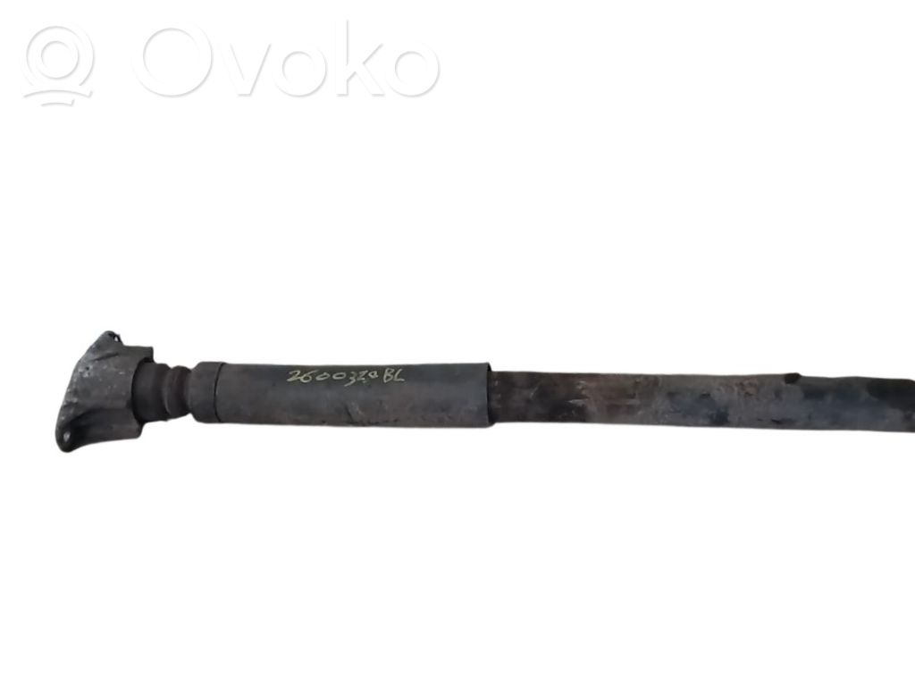 Stoßdämpfer hinten   31201047