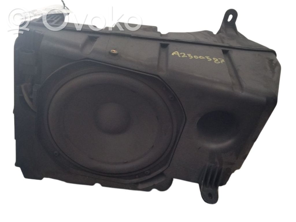 Amplificatore   107974600D,107974700D,107974600D
