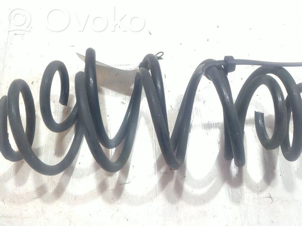 Sprężyna tylna   4131168L00000