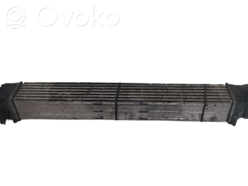 Renault Scenic III - Grand scenic III Radiador intercooler
