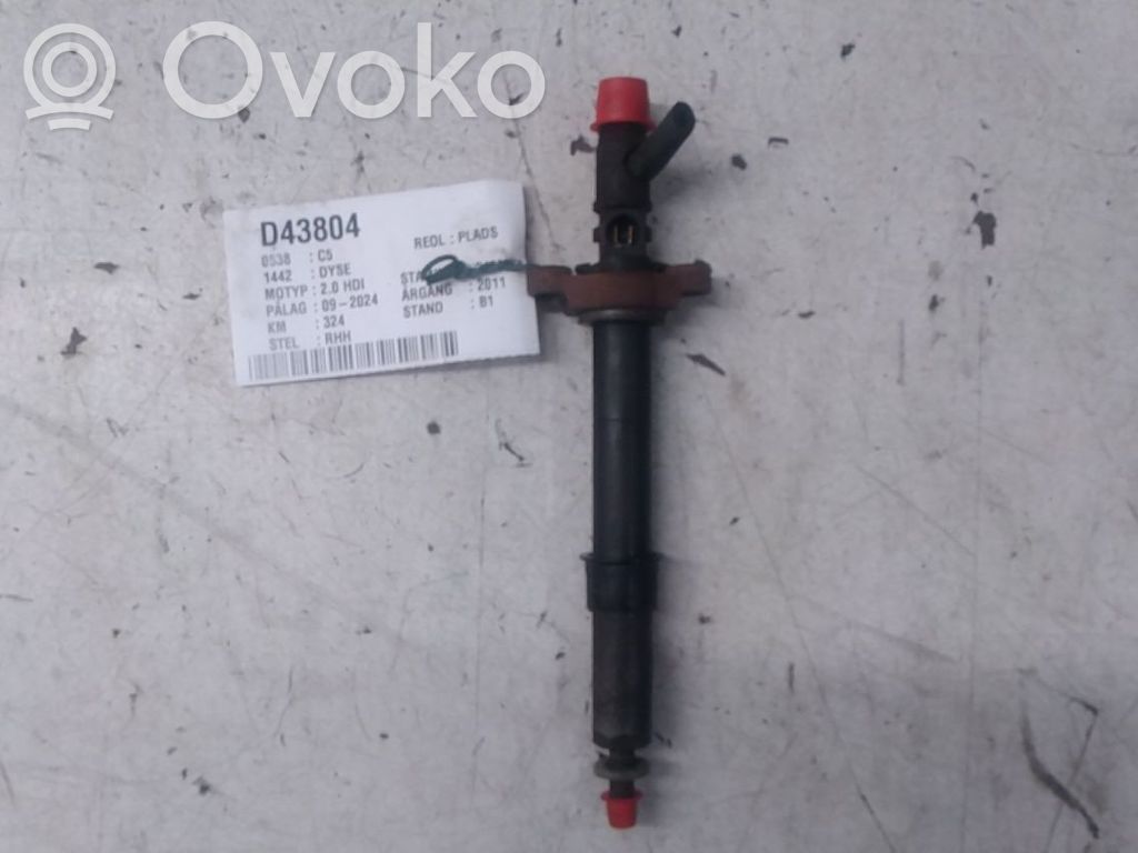Citroen C5 Inyector de combustible 