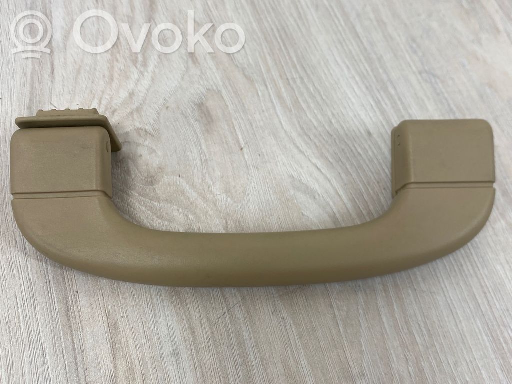 Asidero interior delantero   7033659,5743905